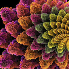 Mongo Lloyd - Delysid//25