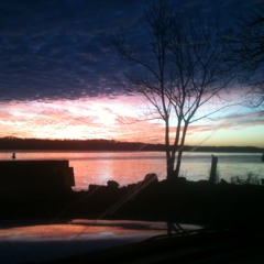 A Crow in a Hurricane