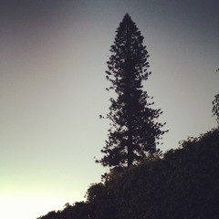 Sutra-ensayo sobre un dia de suerte 2012