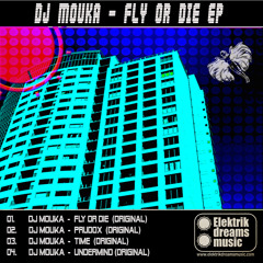 Dj Mouka - UnderMind (Original Mix) [Out Now on Beatport!!!] www.elektrikdreamsmusic.com