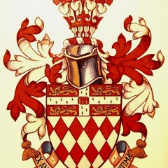 Are You Gonna Be My Girl - Cello, Ukulele and Shaker cover