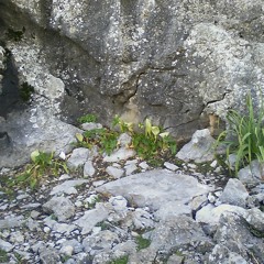 Gui Boratto - Golden Axe