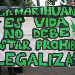 DJ Luchex - Adelanto Hierba Sana