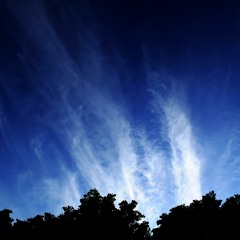 Dedem incomplete- pesantuzzo