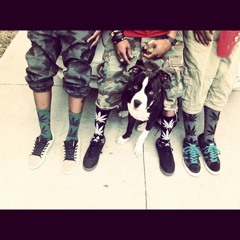 Nicki Minaj ft 2Chainz- Beez in the Trap  at New Orleans