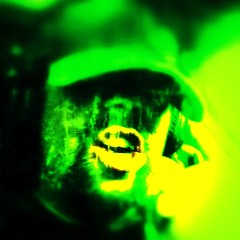 Bull Horns (@hannifresh)