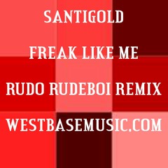 Freak Like Me - Santigold - Rudeboi Remix