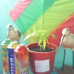 ESTO ES IQUIQUE-MCTREK FEAT. PSICOH