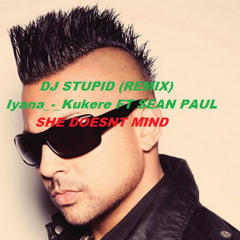 SEAN PAUL FT KUKERE-IYANA  SHE DOSNT MIND DJ STUPID REMIX 2012 pack