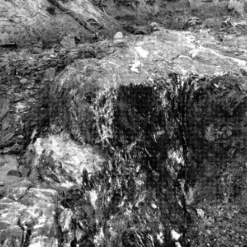 Syndrome "Project5" remix by Oyaarss