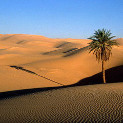 Dawn of Magic OST - Desert player