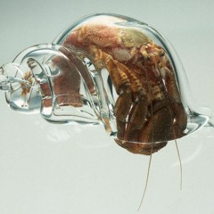 ZAYATC BD Mix @ IBIZA 2012