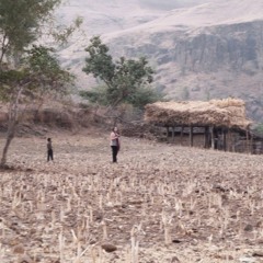 DAM(N) Badal Dusk