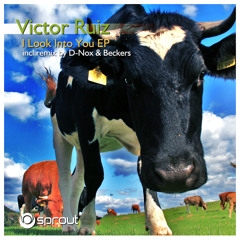 Victor Ruiz - I look into you (D-Nox & Beckers Remix)