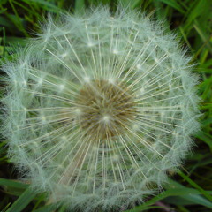 Young Again - feat. TimTABLE