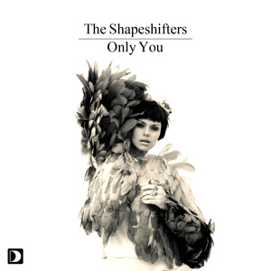 The Shapeshifters - Only You (Nocturnal Dub).mp3