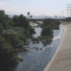 Arpmixtape Snaeco Liob