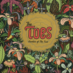 The Toes - 'Chrome Radio Rocks'  - ampleplay records