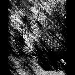 Ridlo - Sinar dalam debu