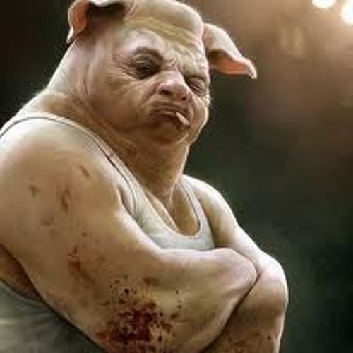 Mr.porc..glitch up  (freedownloads)