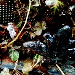 I Remember Everything