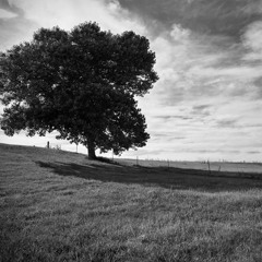 Ezim ezim eziliyor yüregim