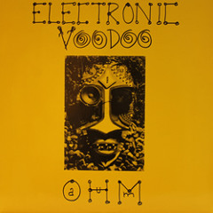 Electronic Voodoo - Ohm/Aum (12 inch side B)