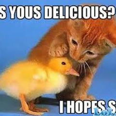 Funky Duck Soup by YUPNOWZ (scratching & such by yours truly)