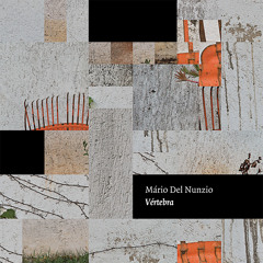 Vértebra, for electric guitars (one performer) (2011)