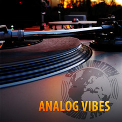 Analog Vibes + Dub
