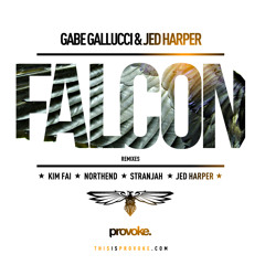 Gabe Gallucci & Jed Harper - Falcon (Kim Fai Remix)