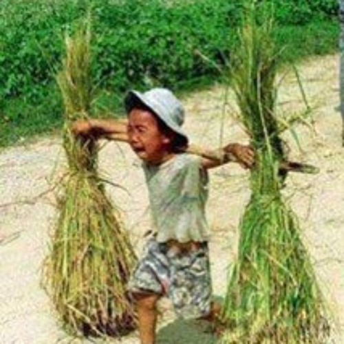 Gia tài của mẹ - Trịnh Công Sơn