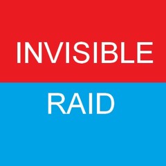 Skylar Grey, Dirty South Vs Dyro & Rene Kuppens - Invisible Raid [ElectrooH Mash-up]