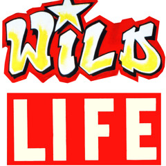 Wild Life DJ's - 'Disco Edits' Promo Mix - May 2012