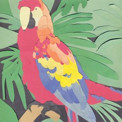 Algernon Cadwallader | Parrot Flies