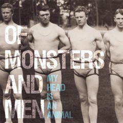 10 Of Monsters and Men - Lakehouse