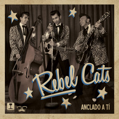 TOM STORMY TRIO CD ロカビリー rockabilly