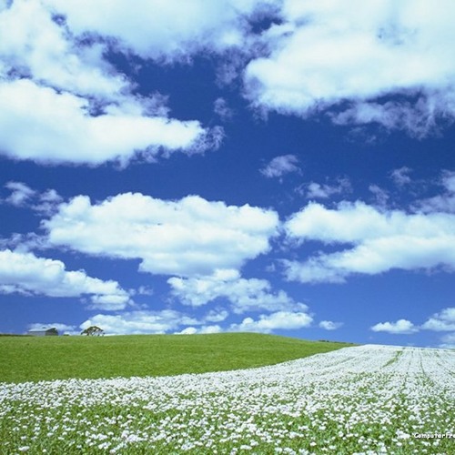 Omar Faruk - musicTürkçe by music-turki