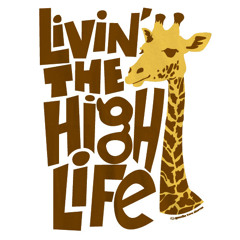 Evan Staley - High Life