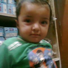 Dila Wali Gall-Gs Peter
