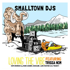 Loving The Vibe (DJ Theory remix)
