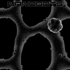 Lee Nicklen - Nanobot Extra Song 2