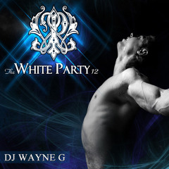 Dreamette - Night of Your Life (Wayne G White Party Mix)
