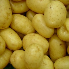Small Potatoes