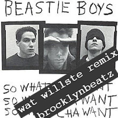 Beasty Boys - So what cha want (also wat willste - Remix)