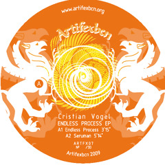Cristian Vogel - EndlessProcess A1