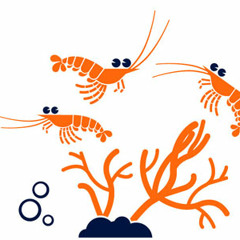 Quand la crevette remonte l'ill ^^