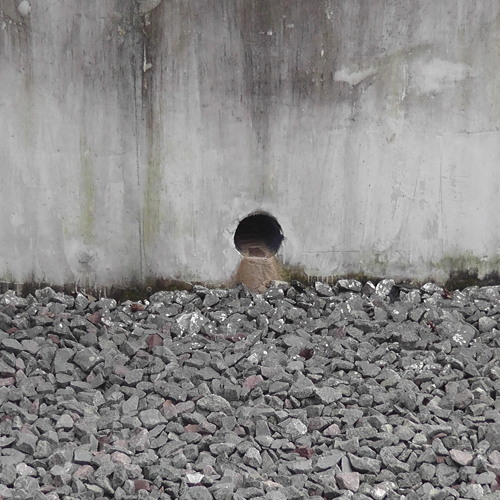 Laptop Ensemble Tester