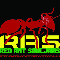 Your Career Wont Be Lasting Long