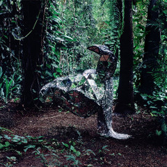 Serial Killer (The Body Electric)